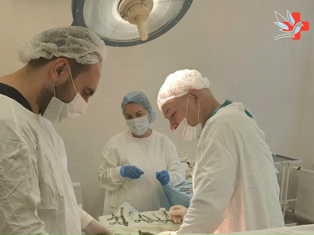 Клинический случай