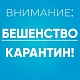 ВНИМАНИЕ! КАРАНТИН ПО БЕШЕНСТВУ